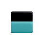 Medium size square shape Metal free earring in Turquoise and black Kosmart - 1