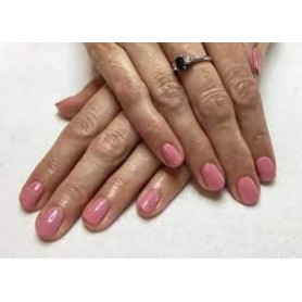 Shellac nail polish - PACIFI ROSE