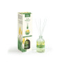 ALOE VERA, MIKADO REED DIFFUSER, 100 ML, PRADY