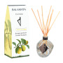 Home fragrance reed diffuser - Cédrat Corse, 100ml