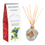 Home fragrance reed diffuser - Myrtilles Exquises, 100ml