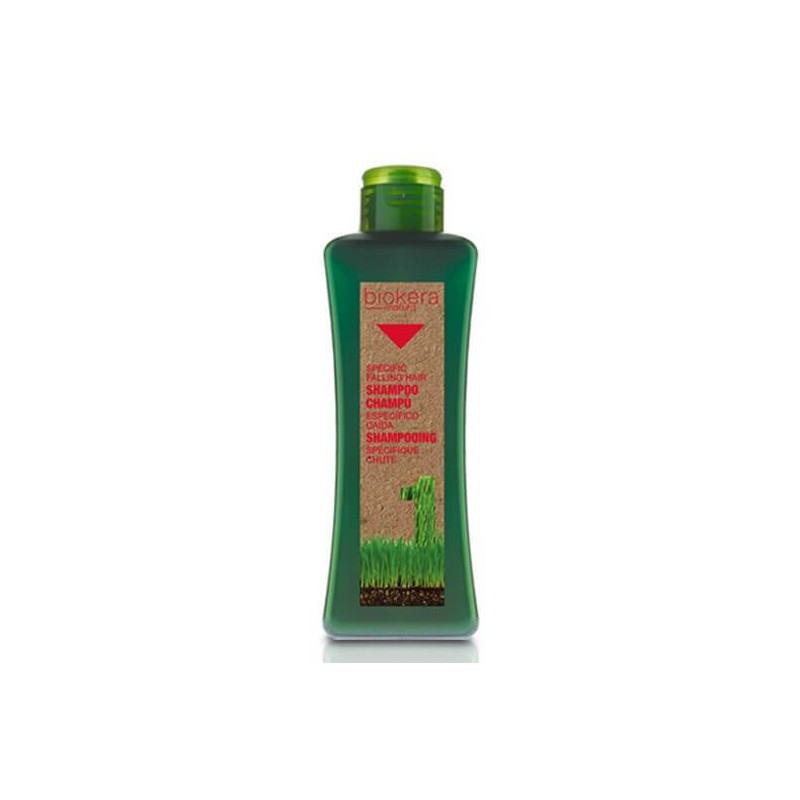 Shampoo specific hair regenerating - plaukų augimą skatinantis ir juos atstatantis šampūnas su ginkmedžio ekstraktu Salerm - 1