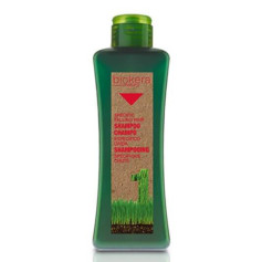 Shampoo specific hair regenerating, 300 ml Salerm - 1