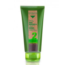 Oily hair mask - Keeps hair clean and oil free for longer Salerm - 1