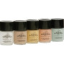 Concealers Ten Image - 1